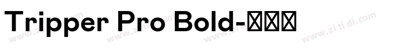 Tripper Pro Bold字体转换